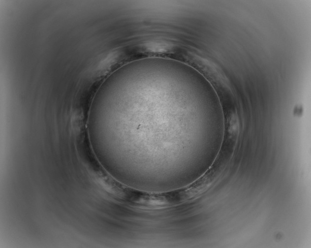 X0000102380559200808011539