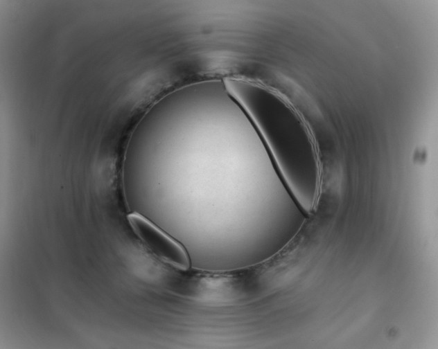 X0000102380560200808011539