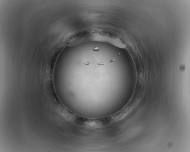 X0000102380561200808011539