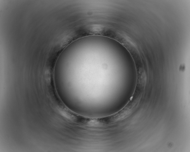 X0000102380562200808011539