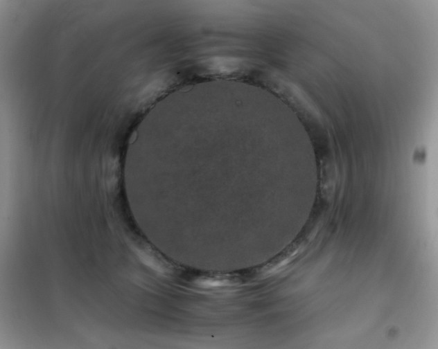X0000102380563200808011539
