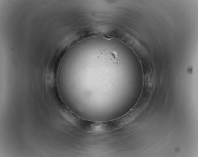 X0000102380564200808011539