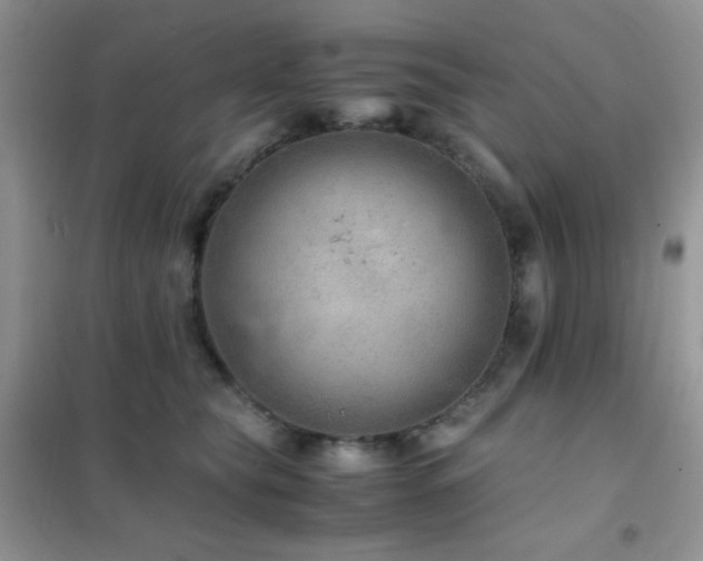 X0000102380565200808011539