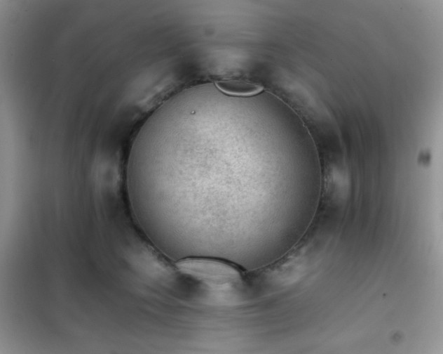 X0000102380566200808011539