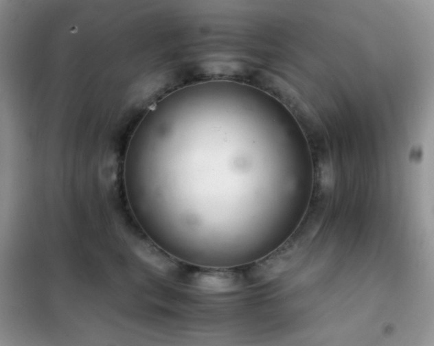 X0000102380567200808011539