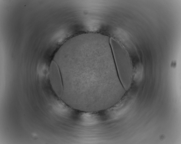 X0000102380568200808011539