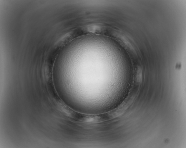 X0000102380569200808011539