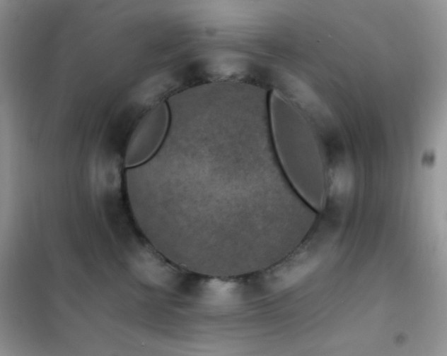 X0000102380570200808011539