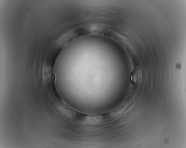 X0000102380571200808011539
