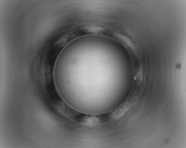 X0000102380572200808011539