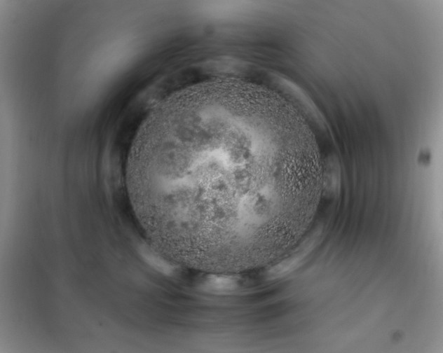 X0000102380573200808011539