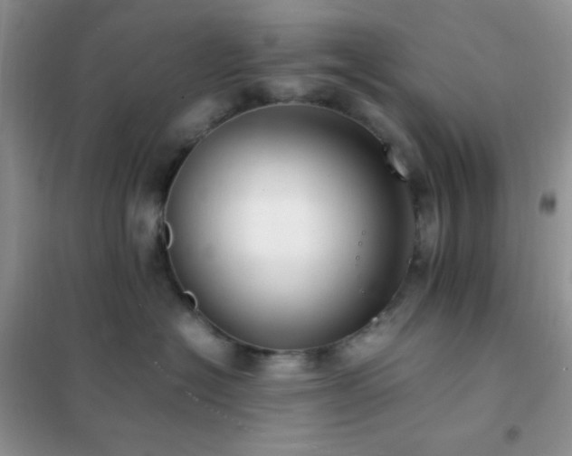 X0000102380574200808011539
