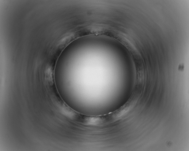 X0000102380575200808011539