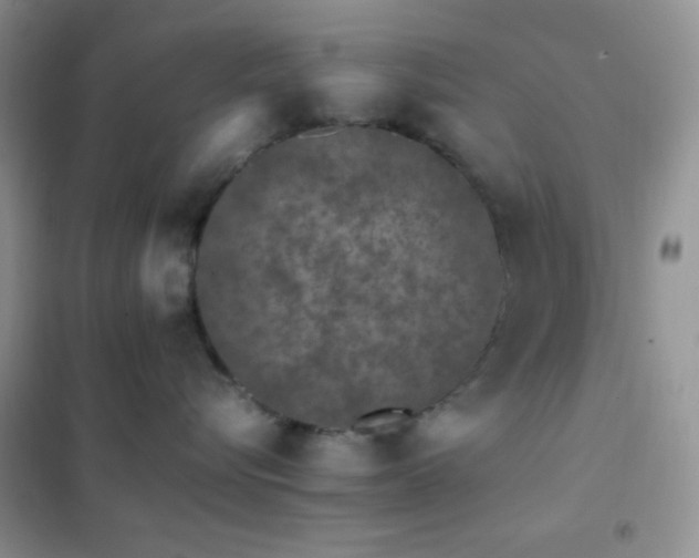 X0000102380576200808011539