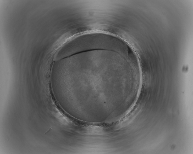 X0000102380577200808011539