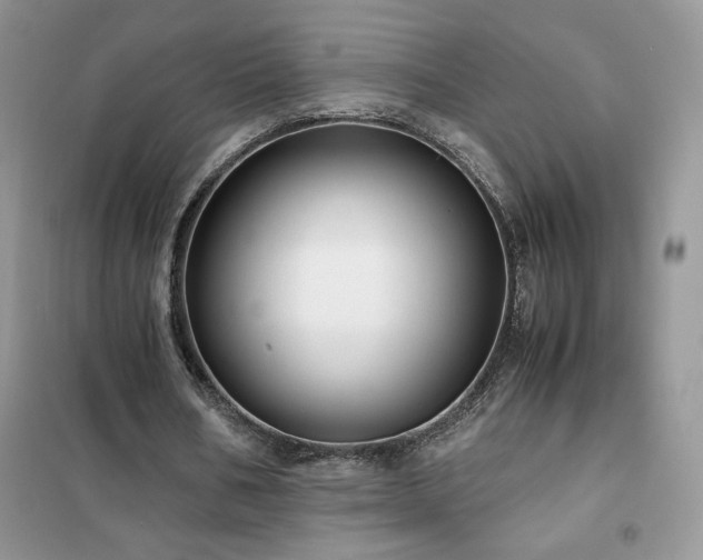 X0000102380578200808011539