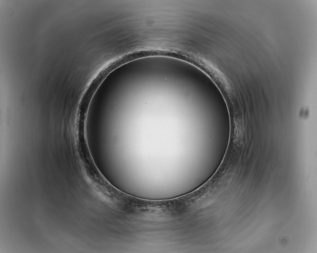 X0000102380580200808011539