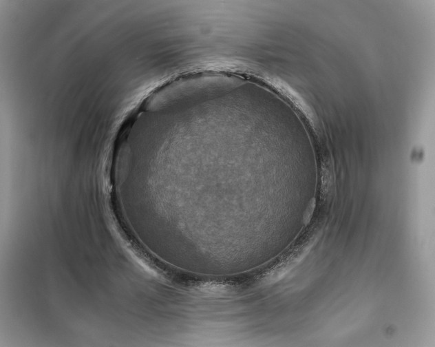 X0000102380581200808011539