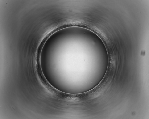 X0000102380582200808011539