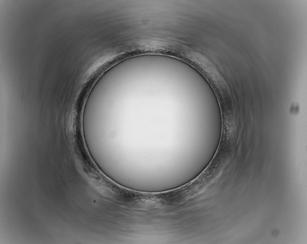 X0000102380583200808011539