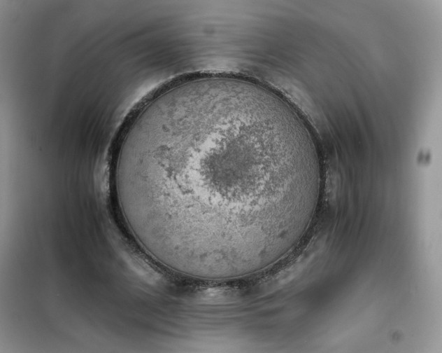 X0000102380584200808011539