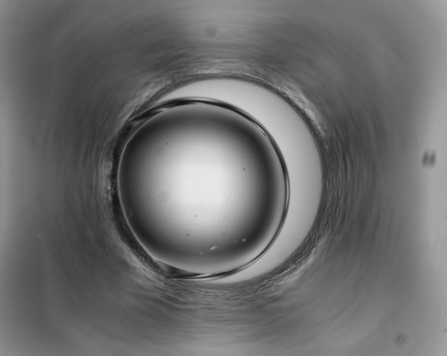 X0000102380585200808011539
