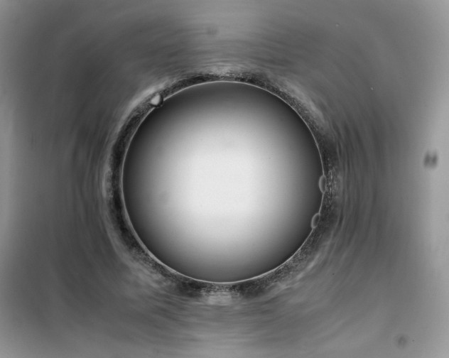 X0000102380587200808011539