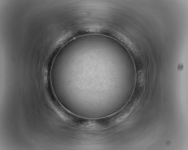 X0000102380589200808011539