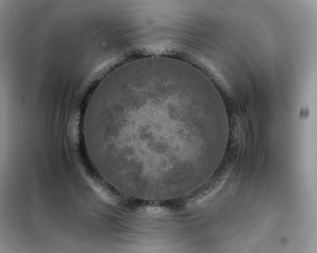 X0000102380590200808011539