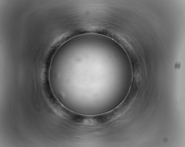X0000102380591200808011539