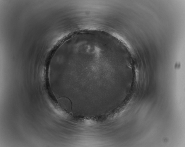 X0000102380592200808011538