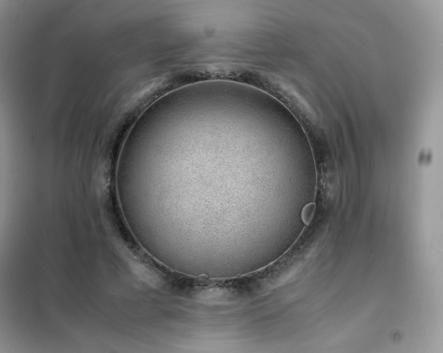 X0000102380593200808011538