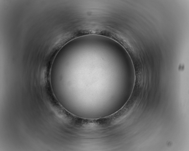 X0000102380594200808011538
