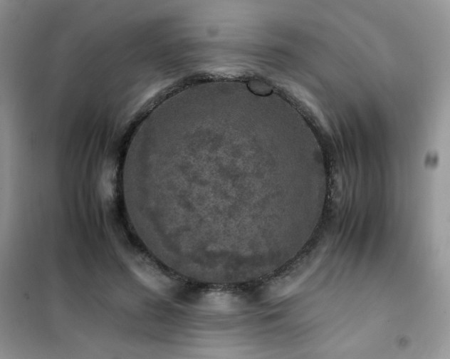 X0000102380596200808011538