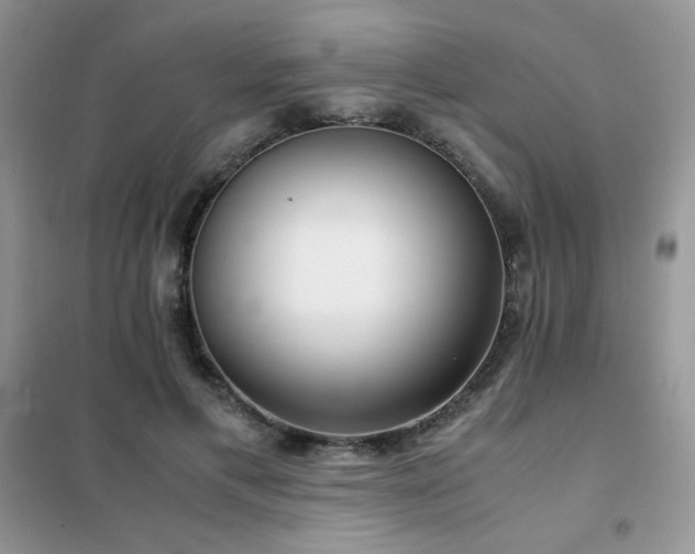 X0000102380597200808011538