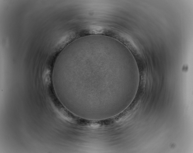 X0000102380598200808011538