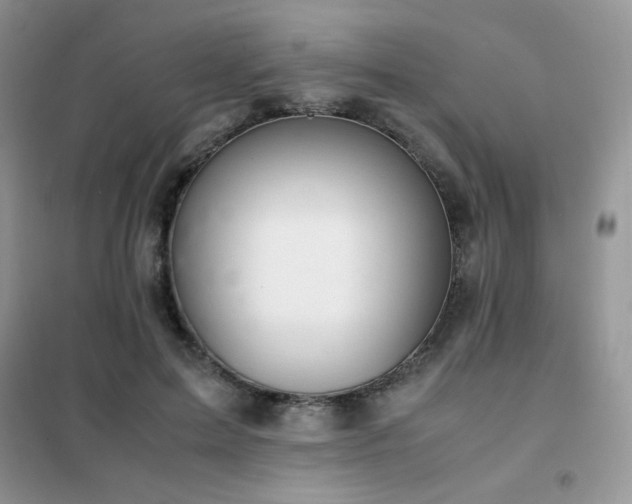 X0000102380599200808011538