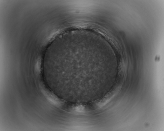 X0000102380600200808011538