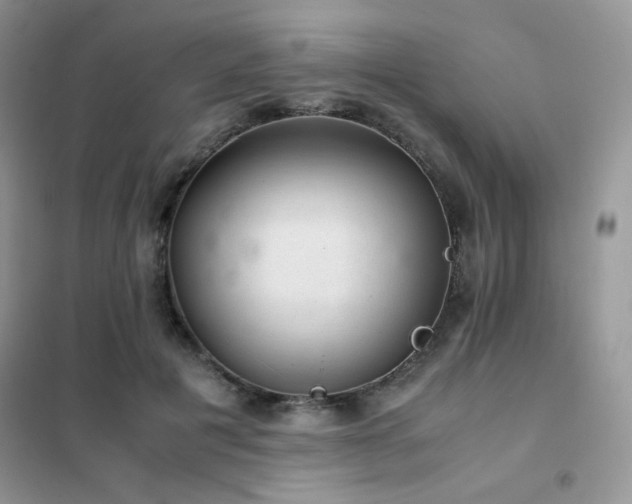 X0000102380601200808011538