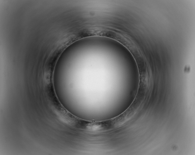 X0000102380602200808011538