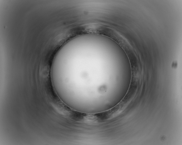 X0000102380603200808011538