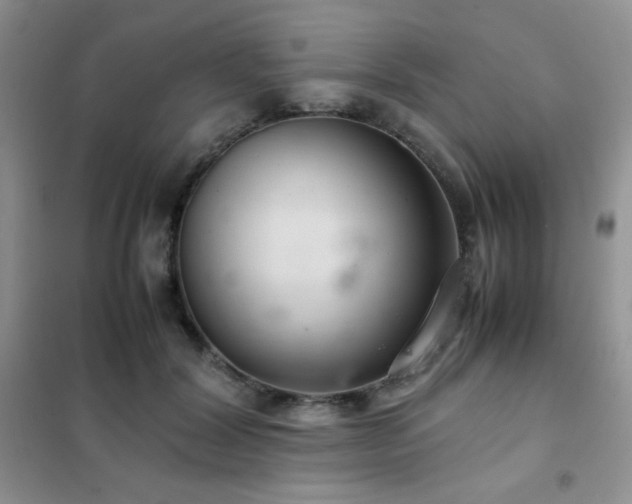 X0000102380604200808011538