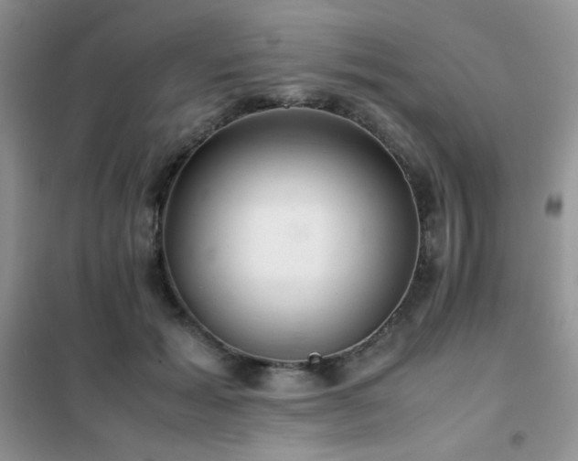 X0000102380605200808011538
