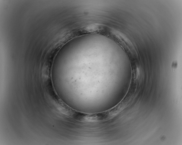 X0000102380606200808011538