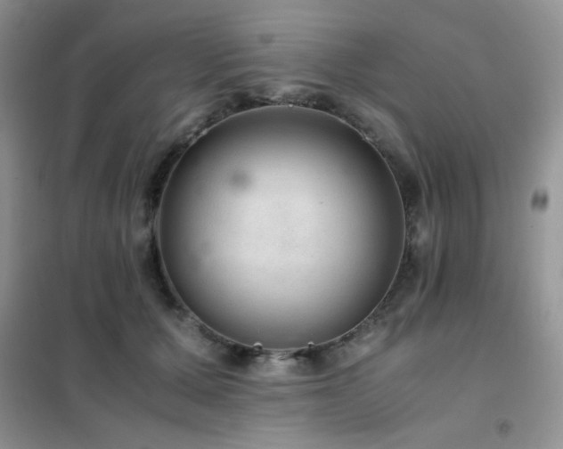 X0000102380607200808011538