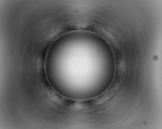 X0000102380608200808011538