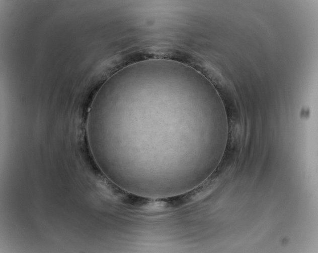 X0000102380609200808011538