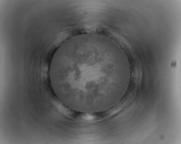 X0000102380610200808011538