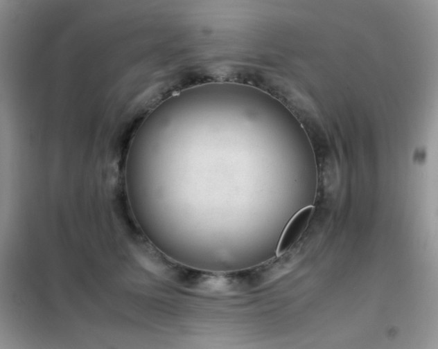 X0000102380611200808011538