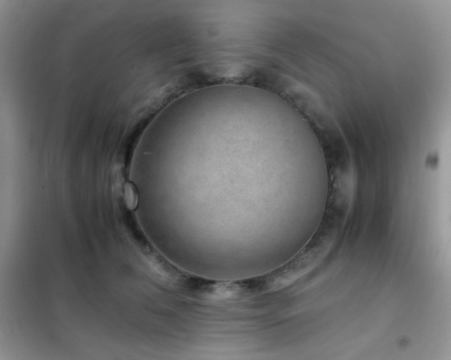 X0000102380612200808011538